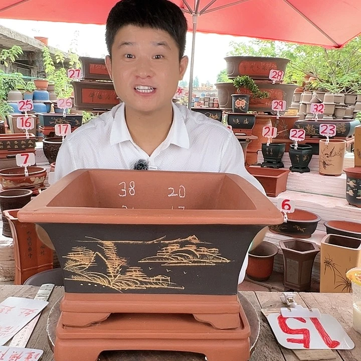 紫砂20CM（含）-50CM（不含）
