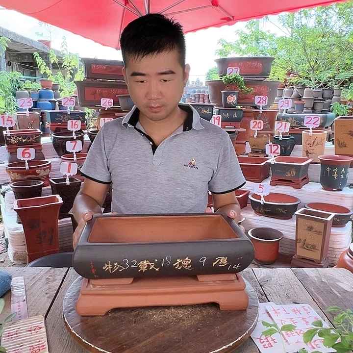 紫砂20CM(含)-50CM(不含)