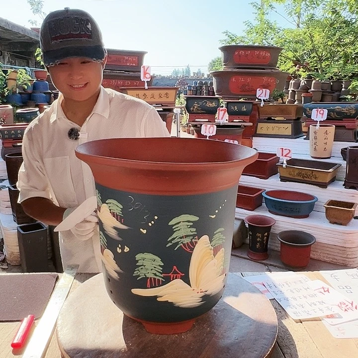 紫砂20CM（含）-50CM（不含）