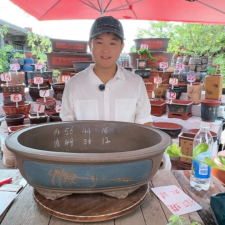 紫砂20CM(含)-50CM(不含)