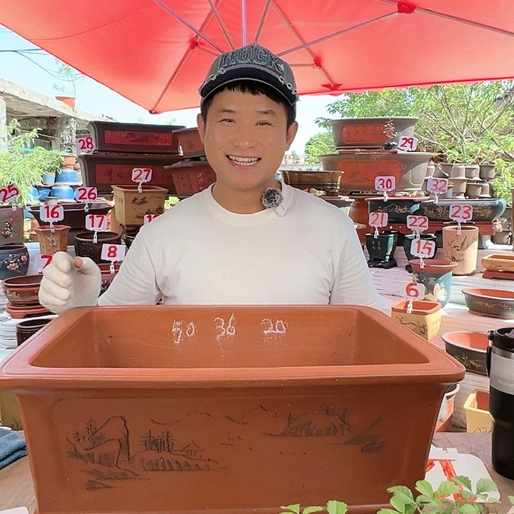 紫砂20CM(含)-50CM(不含)