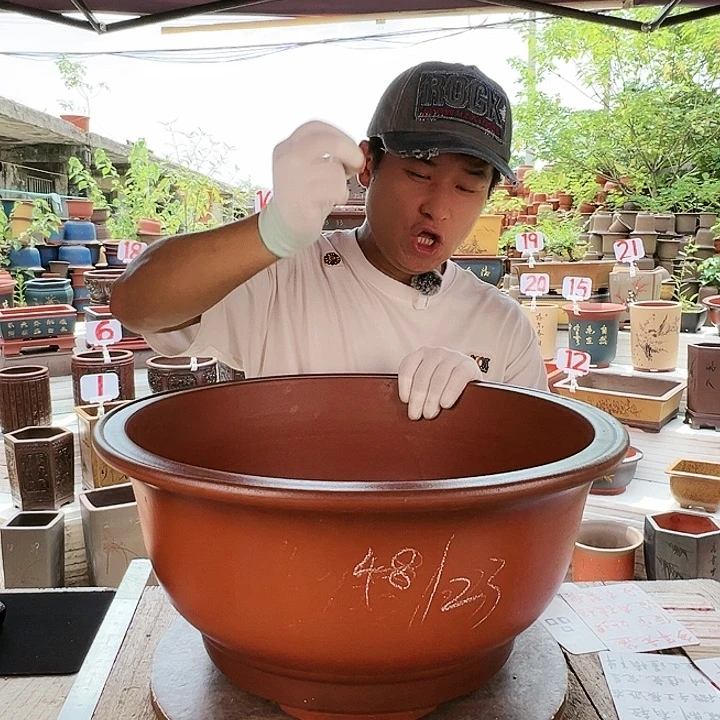紫砂20CM（含）-50CM（不含）
