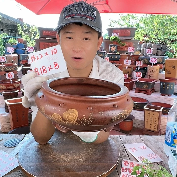 紫砂20CM(含)-50CM(不含)