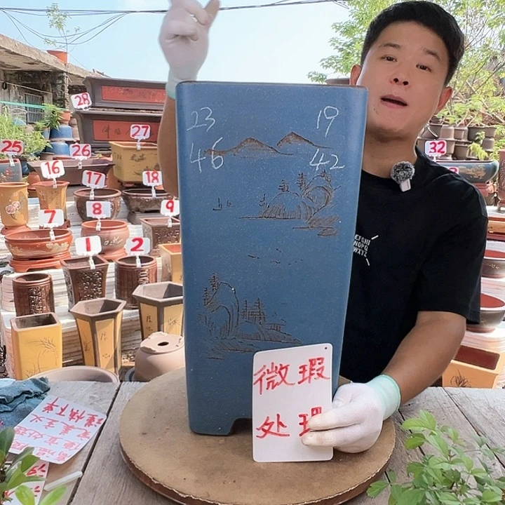 紫砂20CM（含）-50CM（不含）