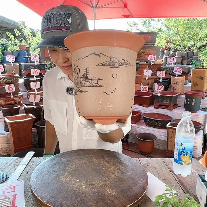 紫砂20CM（含）-50CM（不含）
