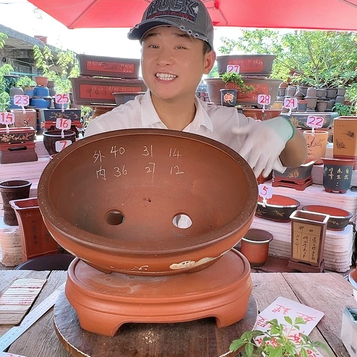 紫砂20CM（含）-50CM（不含）