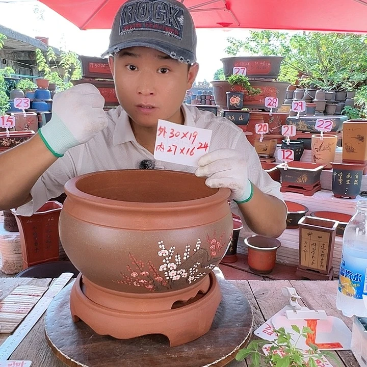 紫砂20CM（含）-50CM（不含）