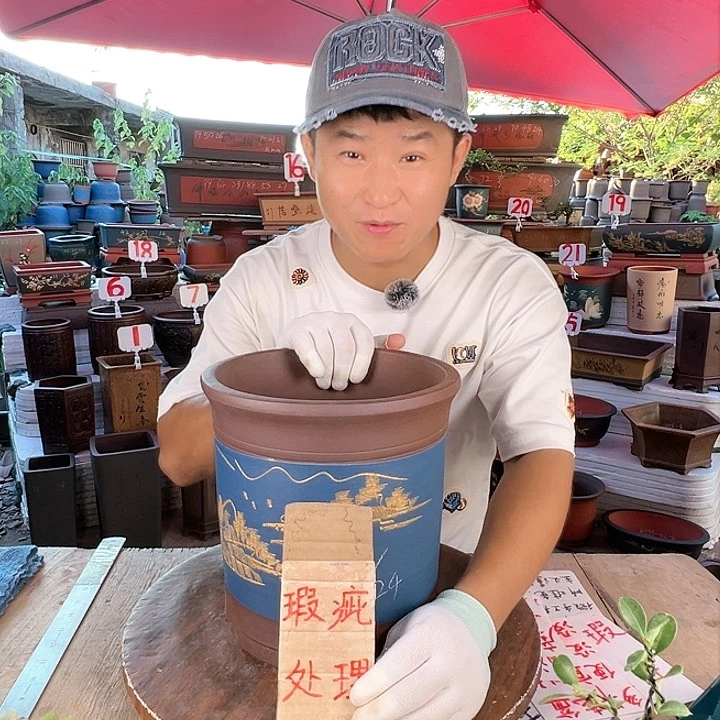 紫砂20CM（含）-50CM（不含）