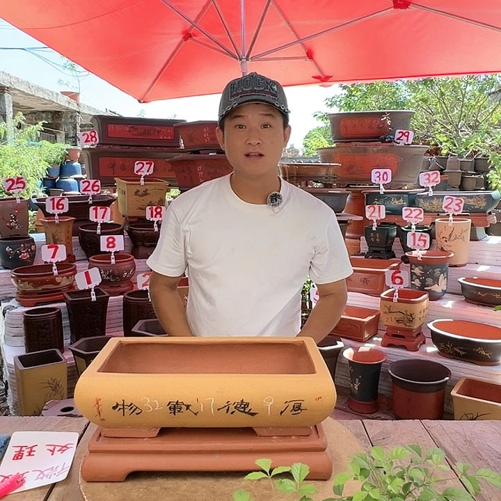 紫砂20CM（含）-50CM（不含）