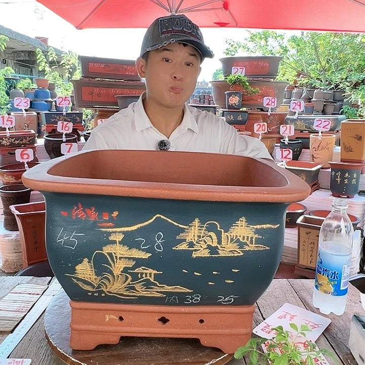 紫砂20CM（含）-50CM（不含）