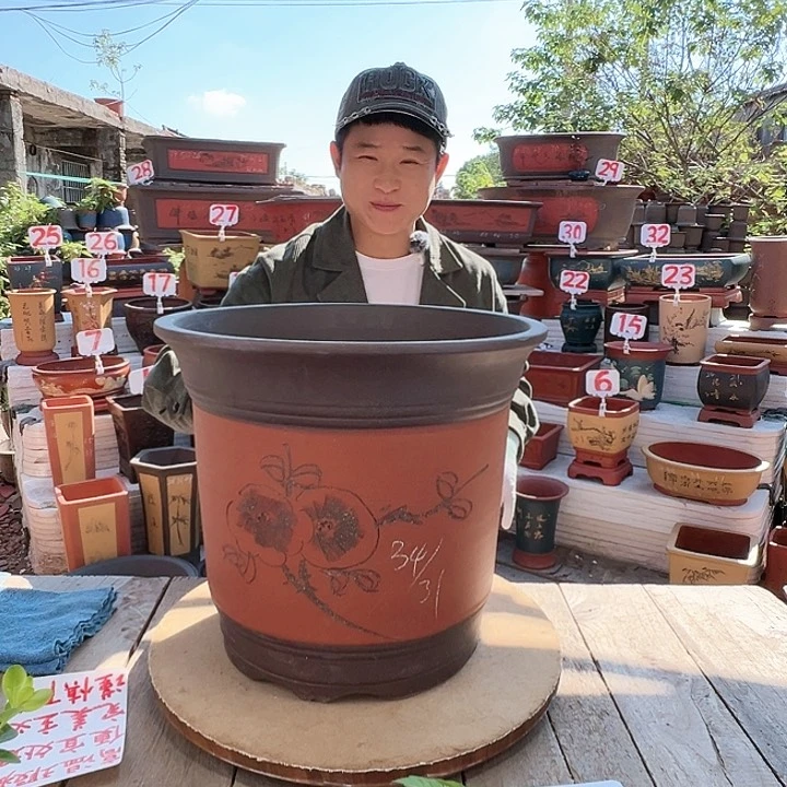 紫砂20CM（含）-50CM（不含）