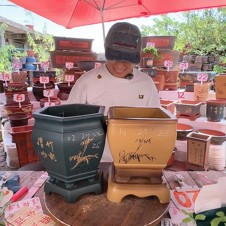 紫砂20CM（含）-50CM（不含）