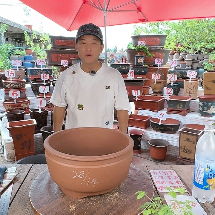 紫砂20CM（含）-50CM（不含）