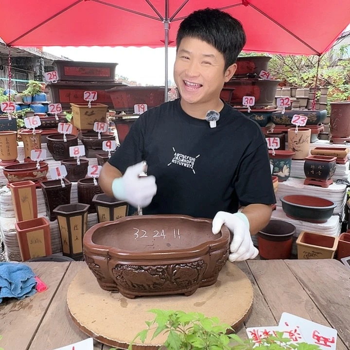 紫砂20CM（含）-50CM（不含）