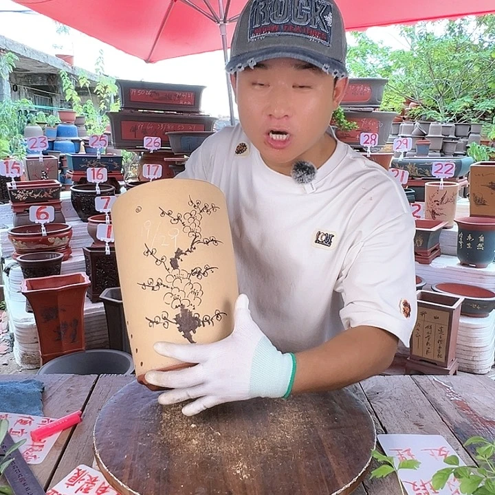 紫砂20CM（含）-50CM（不含）
