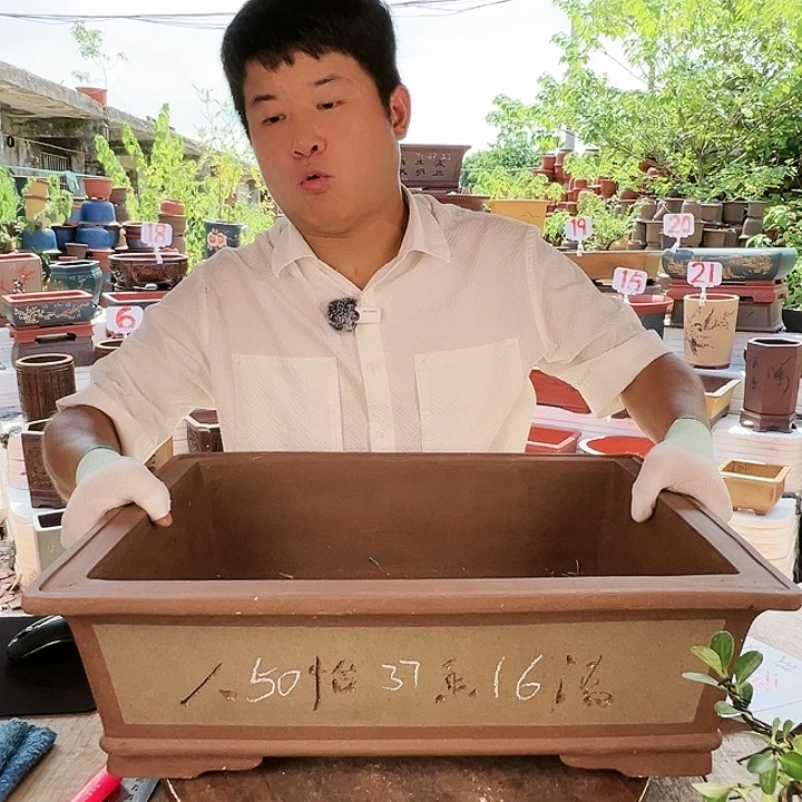 紫砂20CM(含)-50CM(不含)