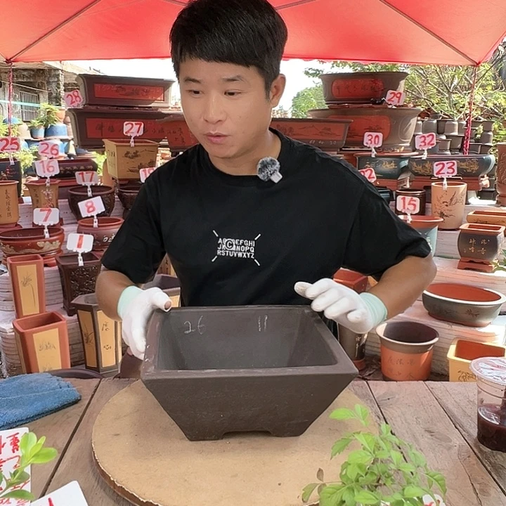 紫砂20CM（含）-50CM（不含）