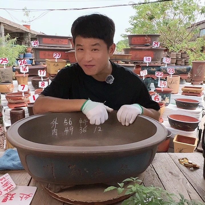 紫砂20CM（含）-50CM（不含）