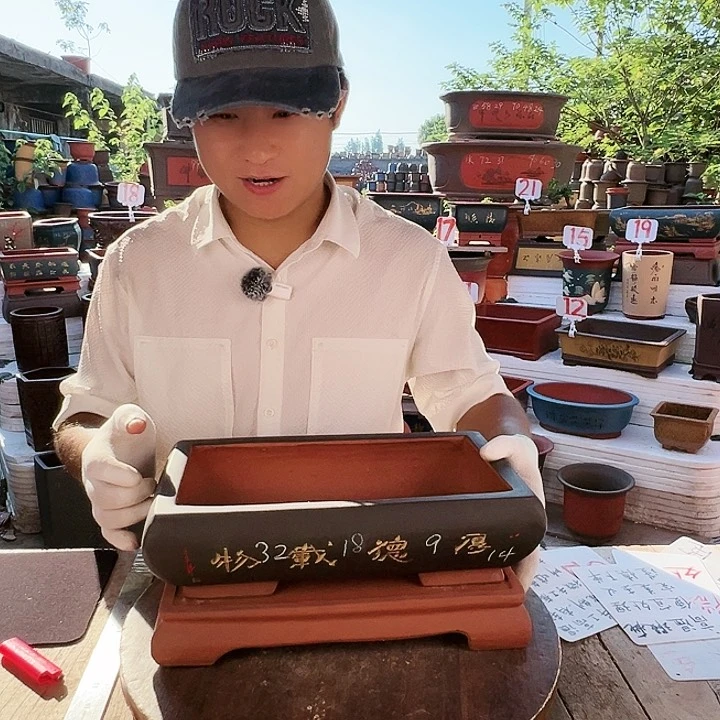 紫砂20CM（含）-50CM（不含）