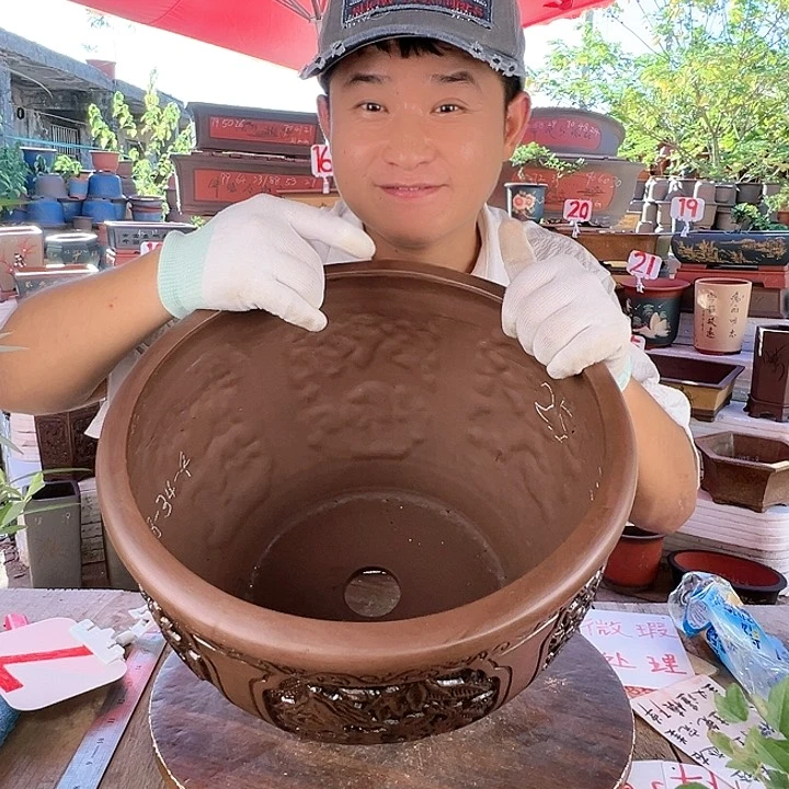 紫砂20CM（含）-50CM（不含）