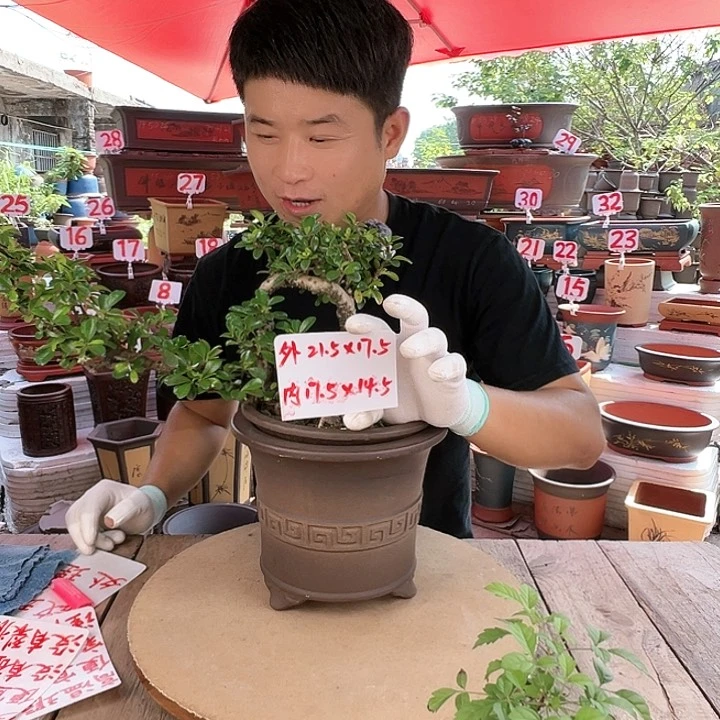 紫砂20CM（含）-50CM（不含）