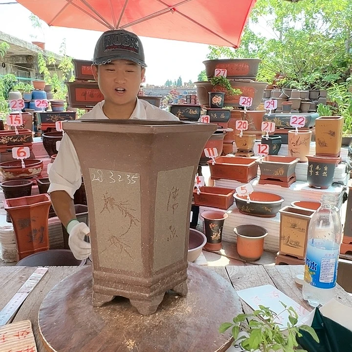 紫砂20CM(含)-50CM(不含)