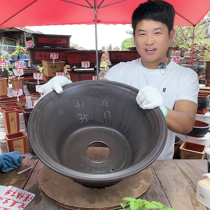 紫砂20CM（含）-50CM（不含）