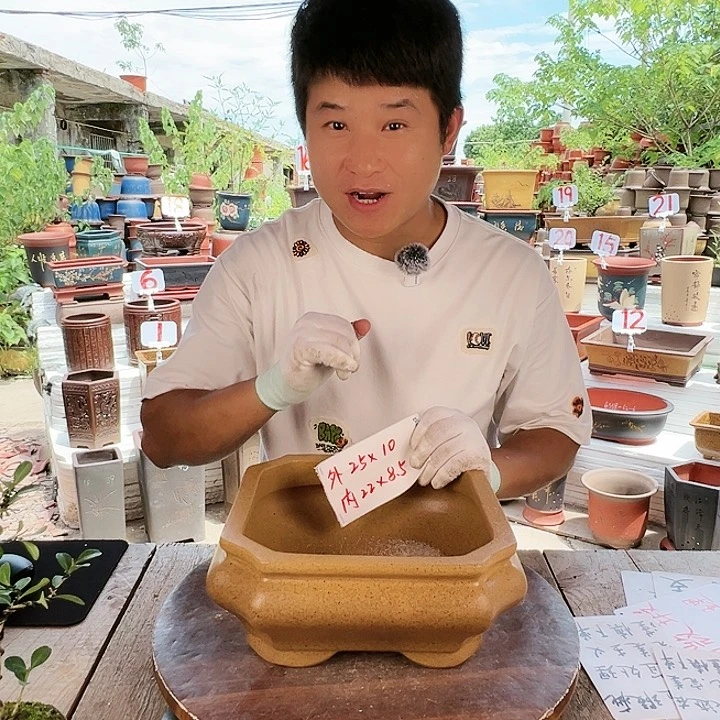 紫砂20CM（含）-50CM（不含）