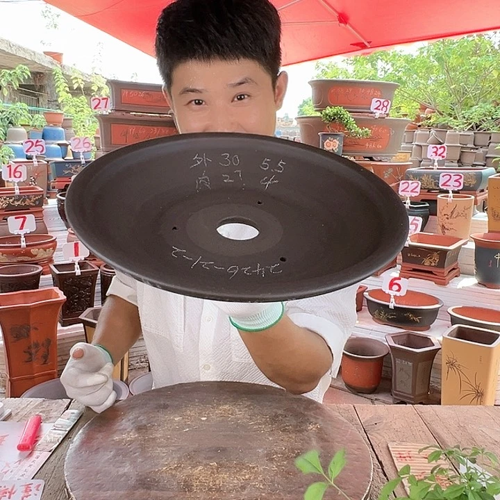 紫砂20CM（含）-50CM（不含）