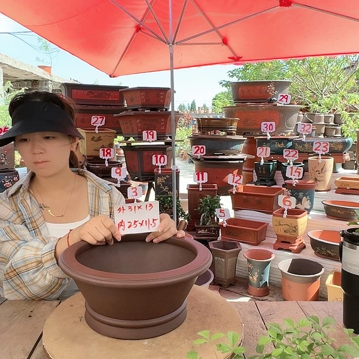 紫砂20CM（含）-50CM（不含）