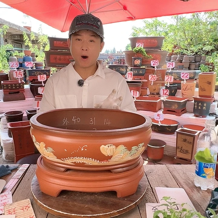 紫砂20CM（含）-50CM（不含）