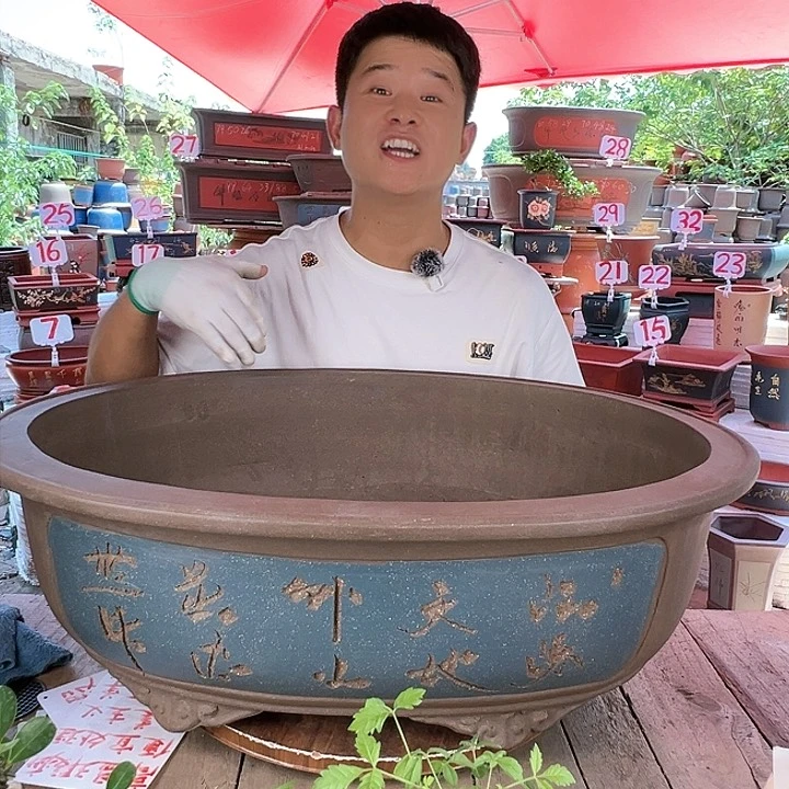 紫砂20CM（含）-50CM（不含）