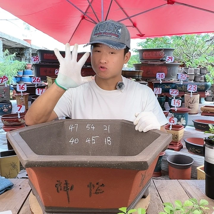 紫砂20CM(含)-50CM(不含)