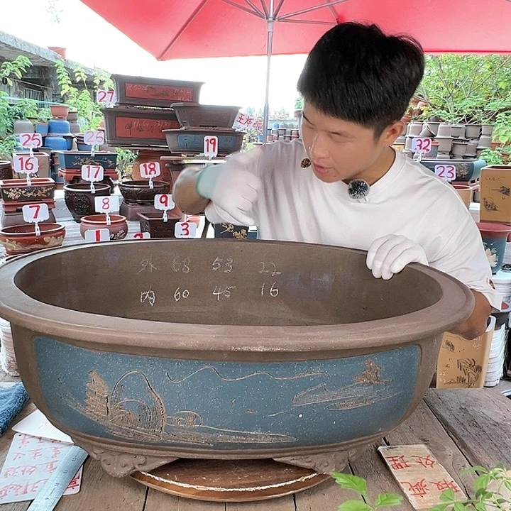 紫砂20CM（含）-50CM（不含）