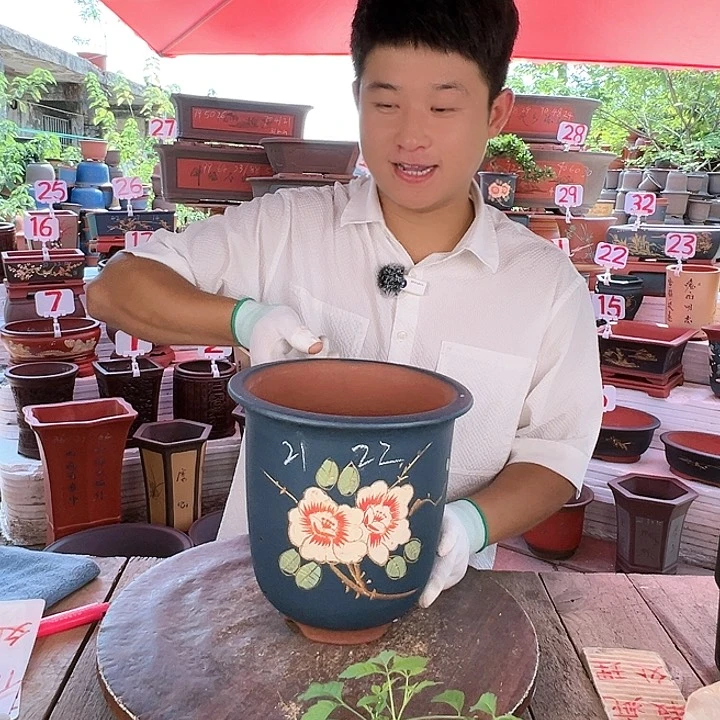 紫砂20CM（含）-50CM（不含）