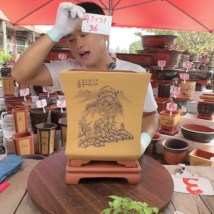 紫砂20CM（含）-50CM（不含）