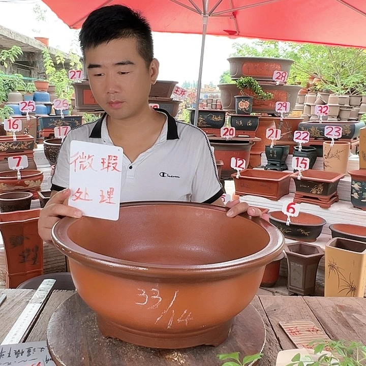 紫砂20CM（含）-50CM（不含）