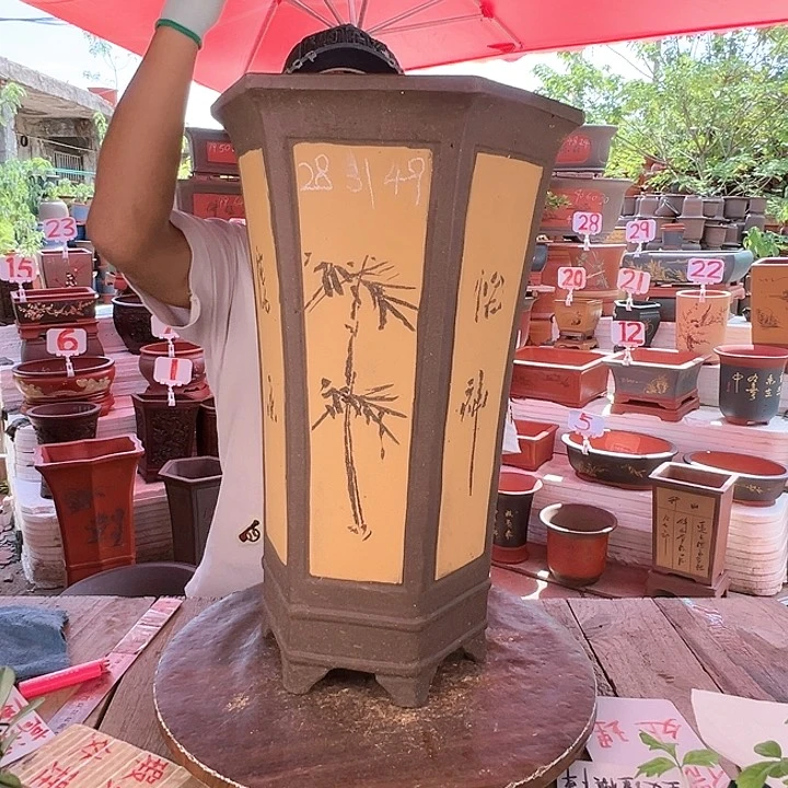 紫砂20CM(含)-50CM(不含)