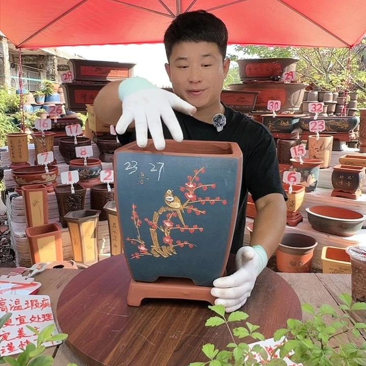 紫砂20CM（含）-50CM（不含）