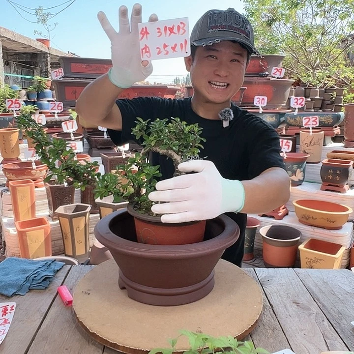 紫砂20CM（含）-50CM（不含）