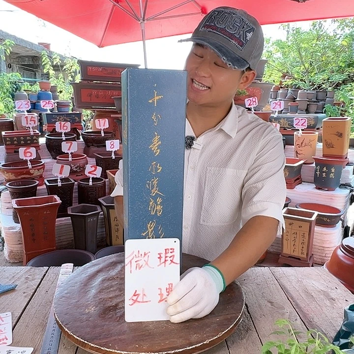 紫砂20CM（含）-50CM（不含）