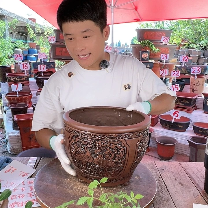 紫砂20CM（含）-50CM（不含）