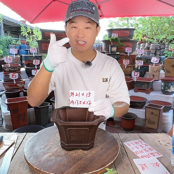 紫砂20CM（含）-50CM（不含）