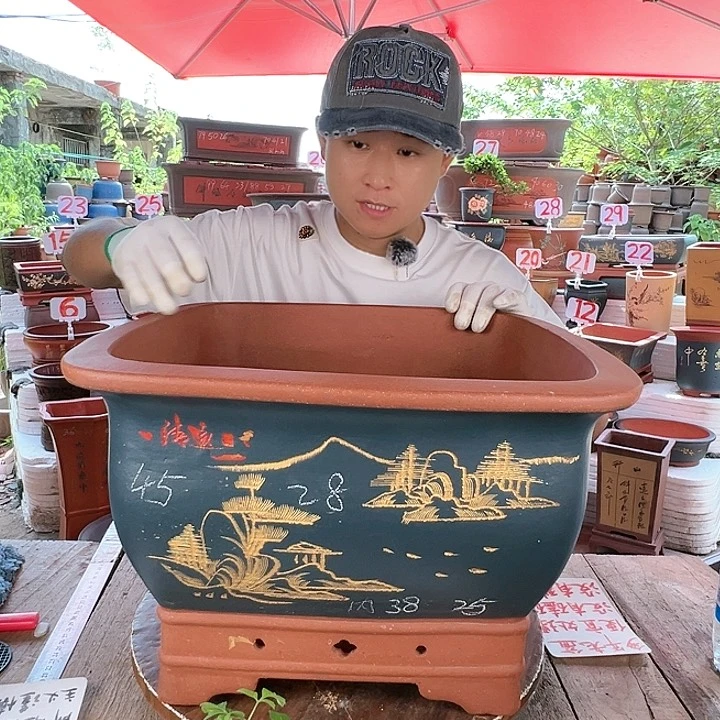 紫砂20CM（含）-50CM（不含）