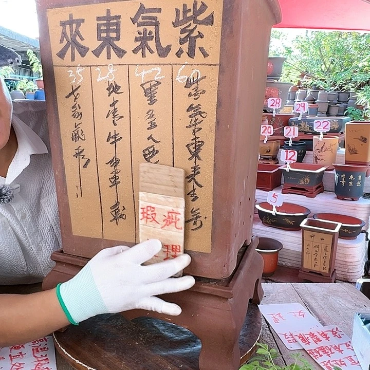 紫砂20CM（含）-50CM（不含）