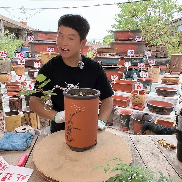 紫砂20CM（含）-50CM（不含）