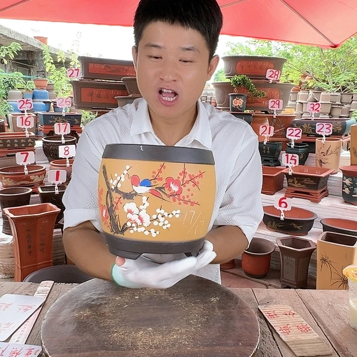 紫砂20CM（含）-50CM（不含）