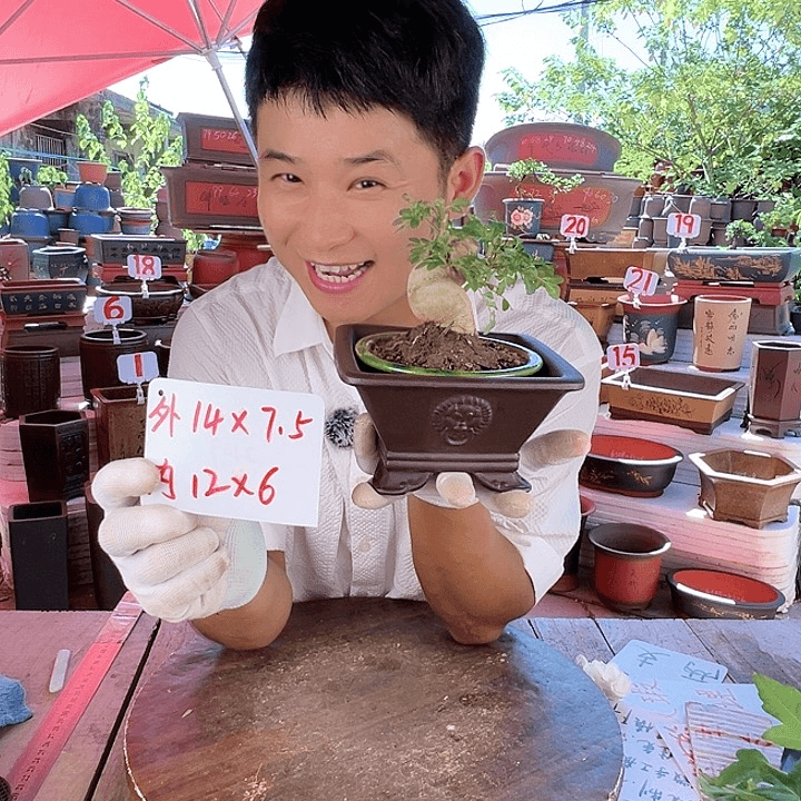 紫砂20CM（含）-50CM（不含）