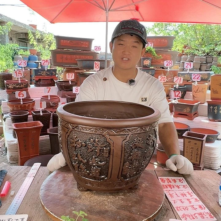 紫砂20CM(含)-50CM(不含)