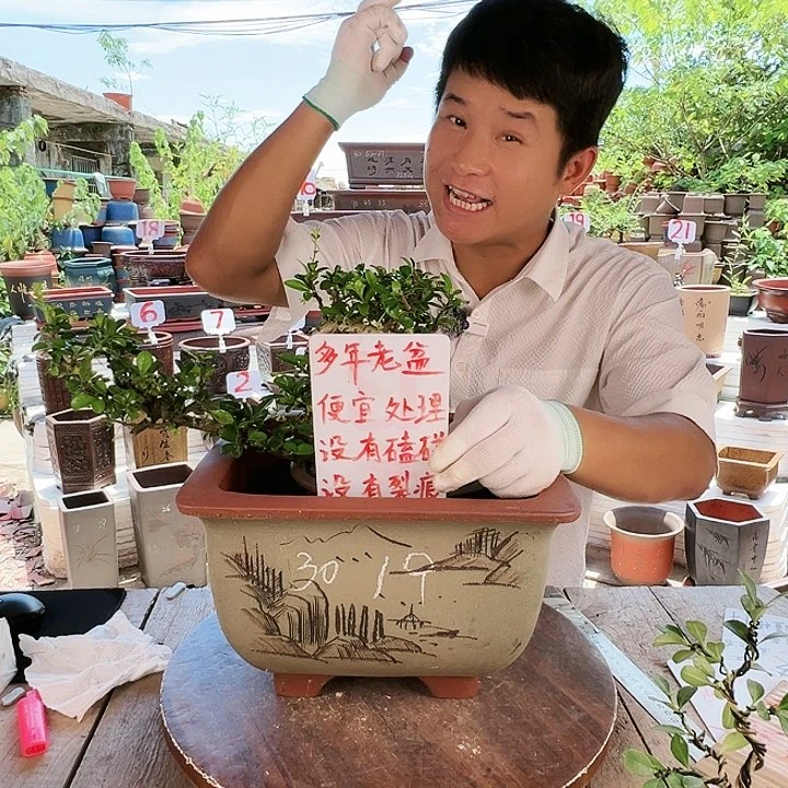 紫砂20CM（含）-50CM（不含）